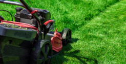 Lawn Maintenance